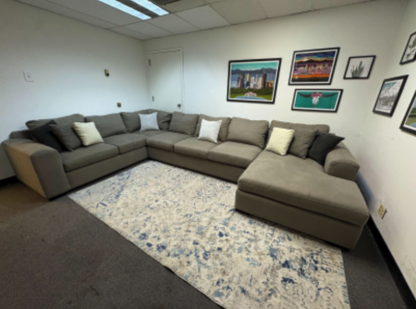 Large Gray Sectional with Chaise